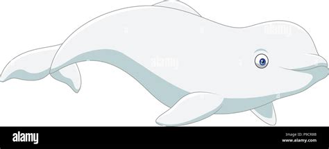 Cartoon Beluga Isolated On White Background Stock Vector Image And Art