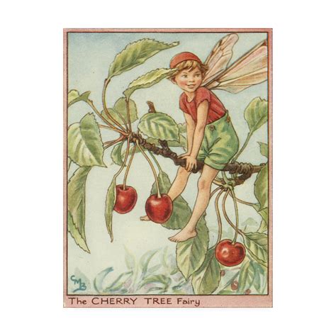 Trademark Fine Art The Cherry Tree Fairy Canvas Art By Vision Studio