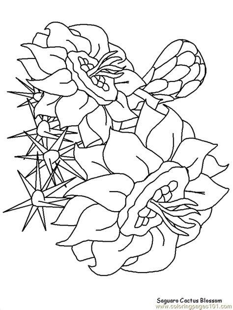 I'm sure you will be thrilled to see realistic flower drawings on a. Coloring Pages Realistic Flowers (Cartoons > Realistic ...