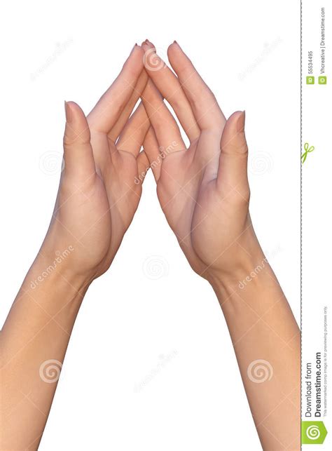 Female Palms Are Touching With Interlaced Finger Tips Stock Image