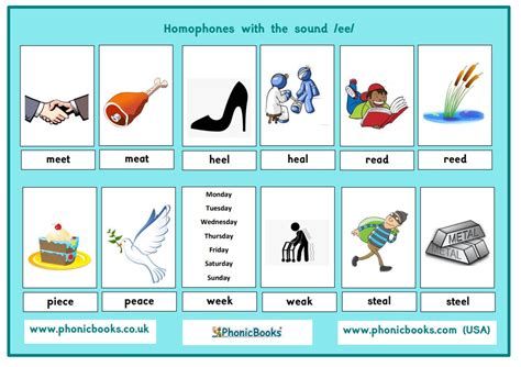 Homophones What To Do About Them Phonic Books