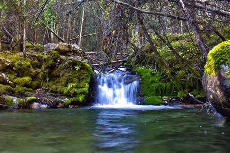 730193 4k Waterfalls Stream Moss Branches Rare Gallery Hd Wallpapers