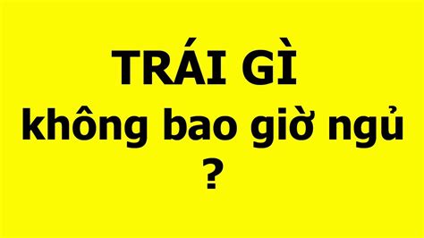 19 câu đố mẹo hay khó vui nhộn có đáp án tóm tắt các kiến thức về 500 câu đố mẹo đầy đủ nhất