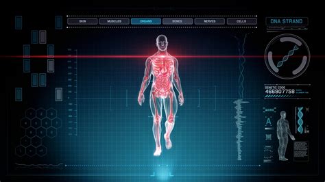 Futuristic Interface Display Of Full Body Scan With Human Anatomy Of