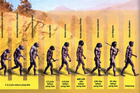 Pendapat pertama menyatakan bahwa manusia pertama di bumi adalah manusia purba. Ciri-ciri Manusia Purba yang Ada di Dunia - Moch. Gibran