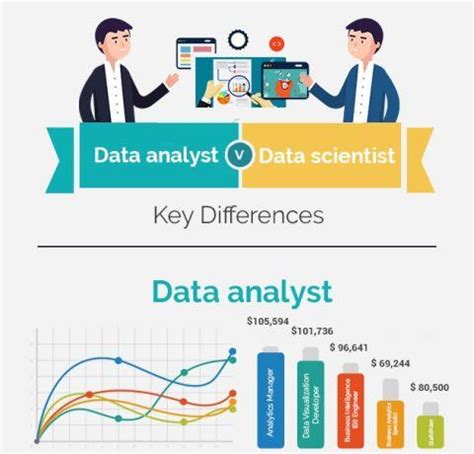 Differences Between Data Scientists And Data Analysts Infographic E
