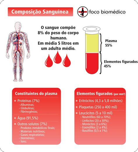 Quantos Litros De Sangue Tem Um Boi