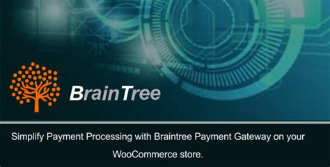 Braintree Payment Gateway Für Woocommerce Agentur Zweigelb