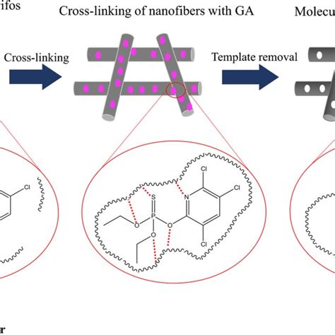 Schematic Illustration Of Molecularly Imprinted Nanofibers Preparation