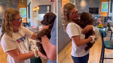 Girl In Tears After New Puppy Surprise Youtube