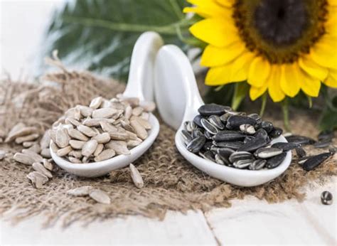 Health Benefits Sunflower Seeds Indian Beauty Tips