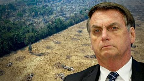Brasil El Presidente Jair Bolsonaro Asegura Que La Deforestación En La