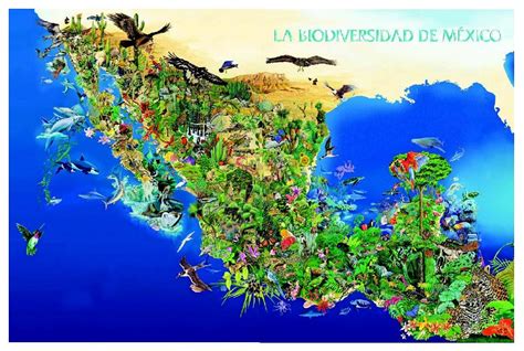 La Mega Diversidad Que Tiene MÉxico Biodiversidad En MÉxico