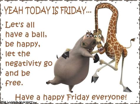 Humor Happy Friday Images And Quotes Dlhumourd
