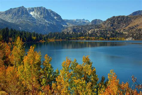 June Lake Blues And Golds Photograph By Lynn Bauer Fine Art America