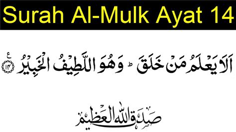 Surah Al Mulk Ayat 14 Rumi Quotes Imagesee
