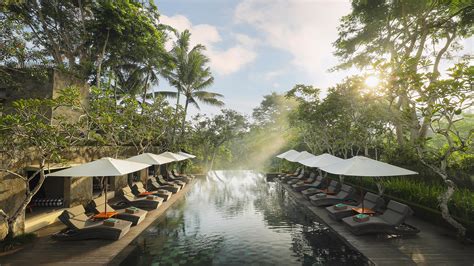 Infinity Forest Pool Maya Ubud Resort And Spa