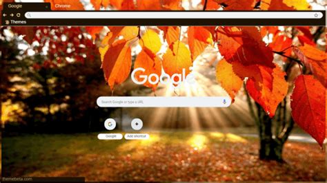 Autumn Chrome Theme Themebeta