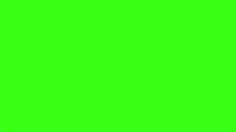 Zoom Virtual Background Plain Green Everything About Zoom Backgrounds