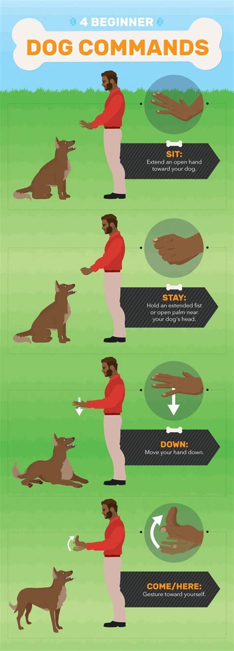 7 Famous Dog Training Methods Modern And Popular Types 2023