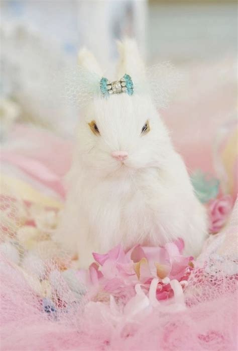 Pin By Jeannette Zeiler🌸🍃 On ️pastels ️ Bunny Cute Bunny Happy Easter