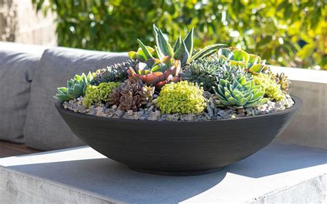 16 Cute And Functional Succulent Pots You Need In Your Home