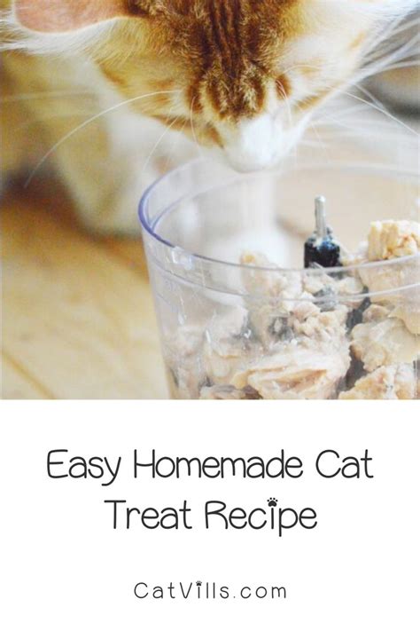 Homemade Salmon Cat Treats Recipe Homemade Cat Treats Recipes Cat Treats Homemade Treat Recipe