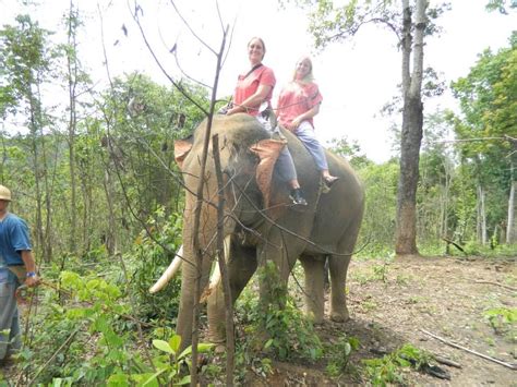 Pin Auf Elephants And Sexy Women 7elefantenfuntravelreise