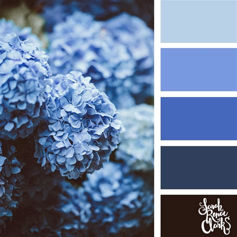 Blue Flower Color