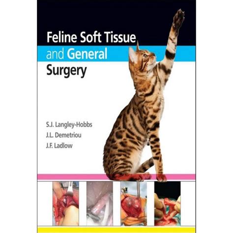 Feline Soft Tissue And General Surgery