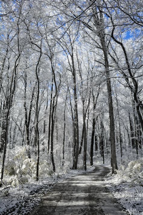 Winter Wonderland Scene Stock Image Image Of December 63061889
