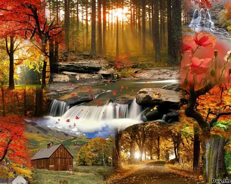 Daily Cool Pictures Gallery 45 Wonderful Autumn Wallpapers 2011
