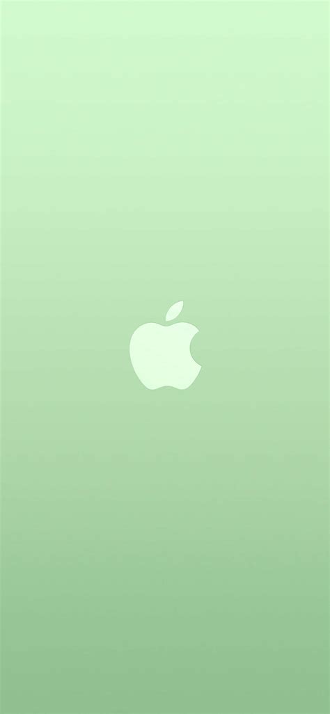 Download Iphone 11 Apple Logo Green Background Wallpaper