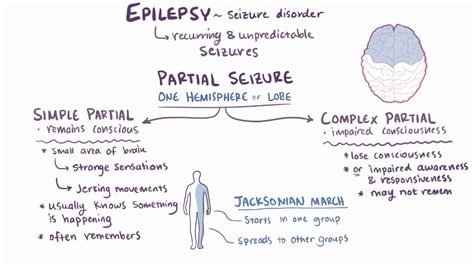 Partial Seizures Symptoms