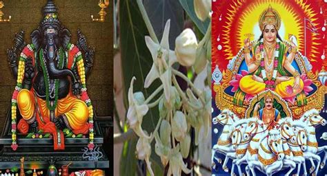 hindu gods ఏ దేవుడికి ఏ పువ్వు అంటే చాలా ఇష్టమో తెలుసా rtv media telugu