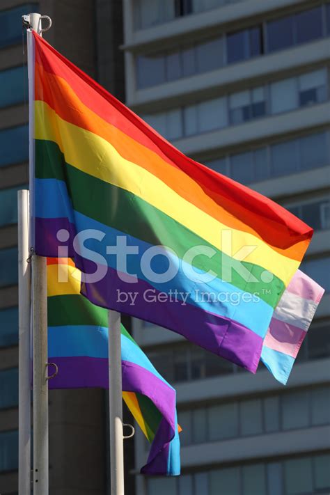 Pride Flag Stock Photo Royalty Free Freeimages
