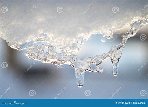 Snow Melting Icicle Spring Background Stock Photo Image Of Bright