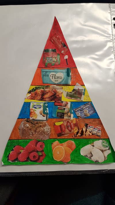 Food Pyramids The Children In 5th And 6th Class Were Learning About