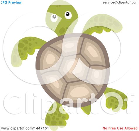 Clipart Of A Sea Turtle Swimming Royalty Free Vector Illustration By