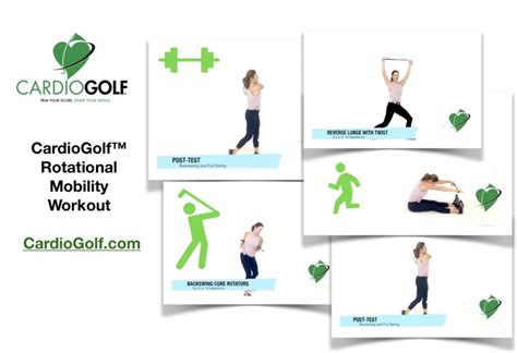 13 Rotational Exercises To Maximize Golf Swing Power Cardiogolf