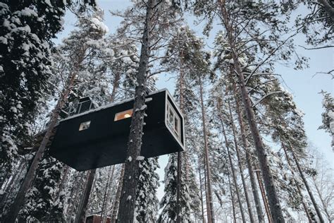 Visit The Tree Hotel In Northern Sweden