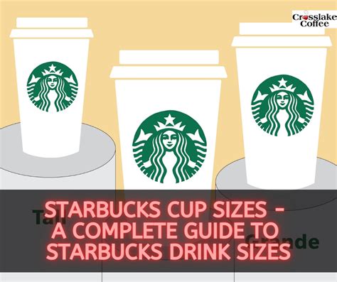 Starbucks Cup Sizes A Complete Guide To Starbucks Drink Sizes