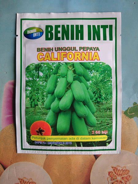 Jual Benih Bibit Pepaya California 1gr Di Lapak 3r Farm Shop Bukalapak