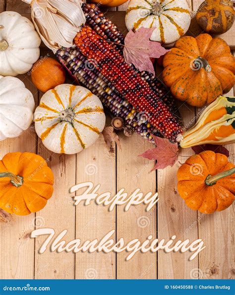 Happy Thanksgiving Text With Indian Corn And Mini Pumpkins Royalty Free