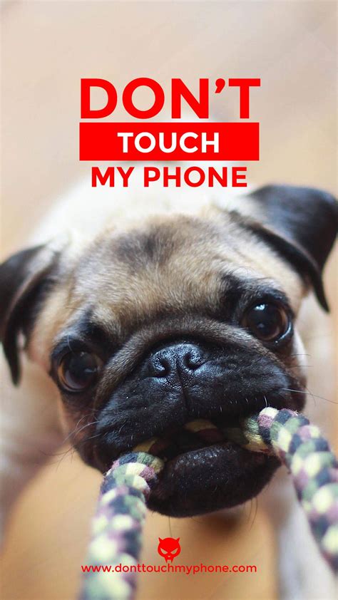 Download Cute Dog Lock Screen Dont Touch My Phone Wallpaper Mobile By
