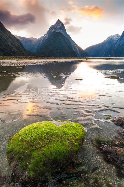 New Zealand Photos Sunset Mitre Peak Is Reflected In Rippled Sand