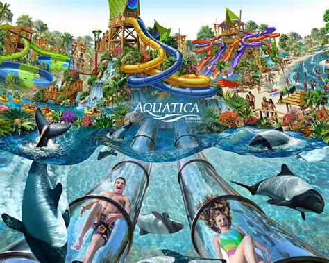 Travel Usher Seaworld Orlando Water Theme Park