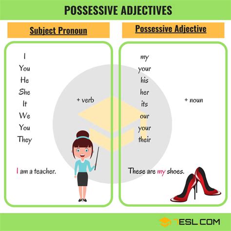 Possessive Adjective Worksheets Adjectiveworksheets Net