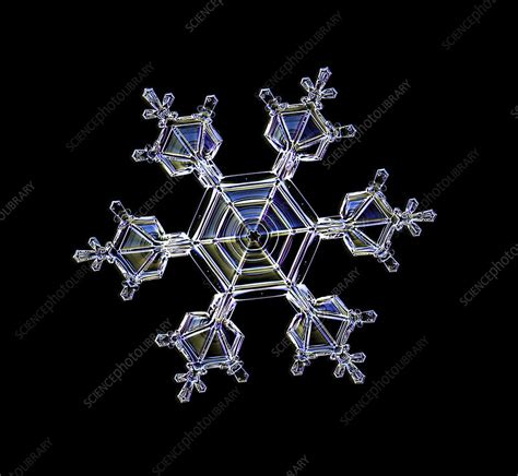 Snowflake Light Micrograph Stock Image C0550608 Science Photo