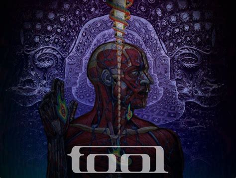 Tool Band Wallpapers Wallpaper Cave